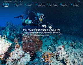 Dive Projects