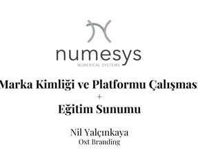 Numesys