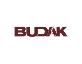 Budak Mobilya