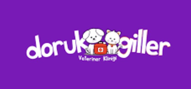 Dorukgiller