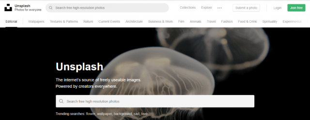 unsplash sosyal medya aracı